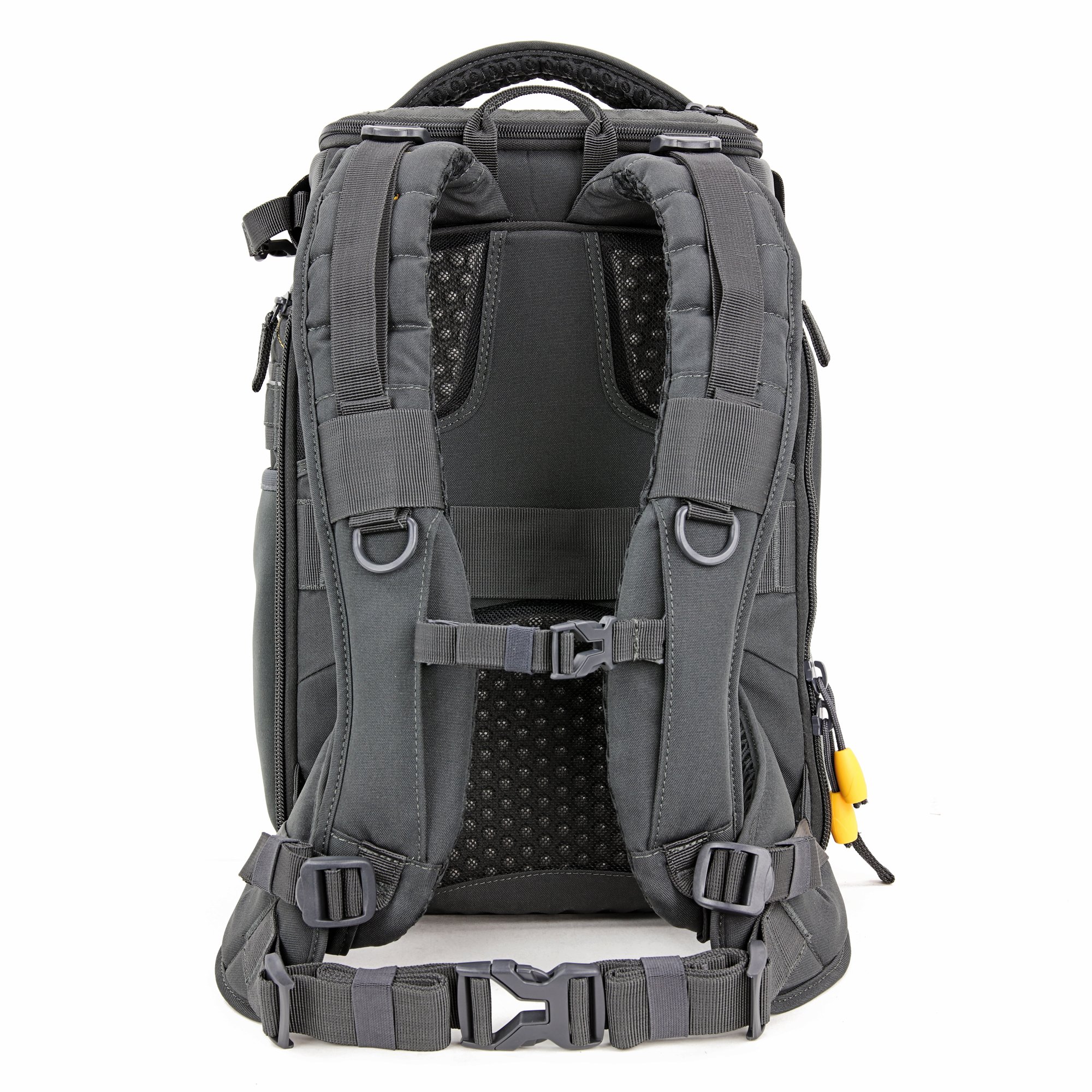 Alta backpack sale