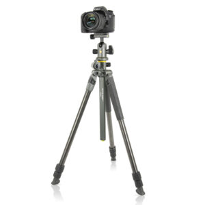 ALTA PRO 2+ 263CB 100 Carbon Tripod with Multi-Action Ball Head