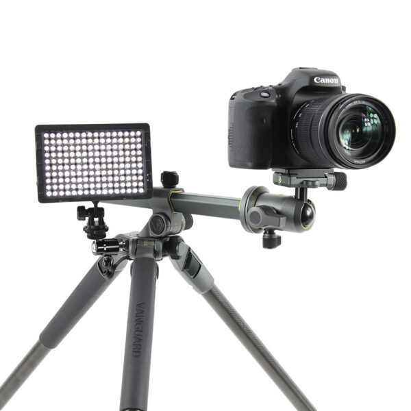 ALTA PRO 2+ 263CB 100 | CARBON TRIPOD WITH MULTI-ACTION BALL HEAD